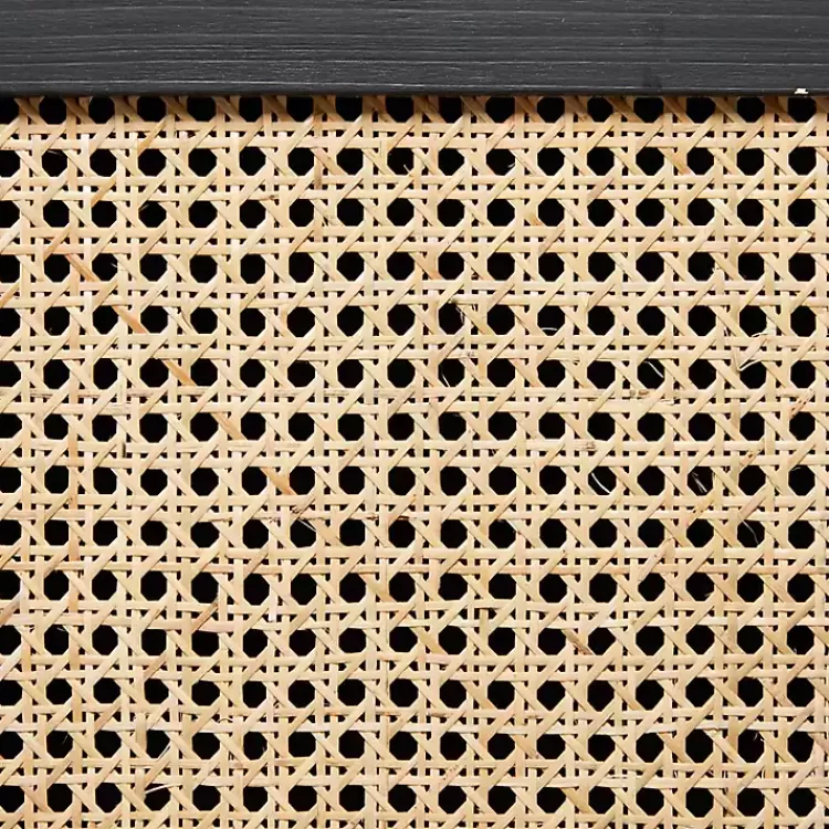 black_cane_door_media_cabinet_2.webp Black Cane 2-Door Media Cabinet>Kirklands Home Hot
