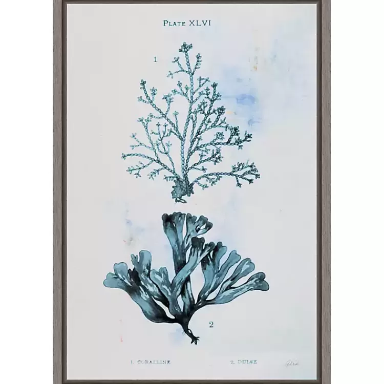 Blue Bay Coral Framed Canvas Art Print>Kirklands Home Outlet
