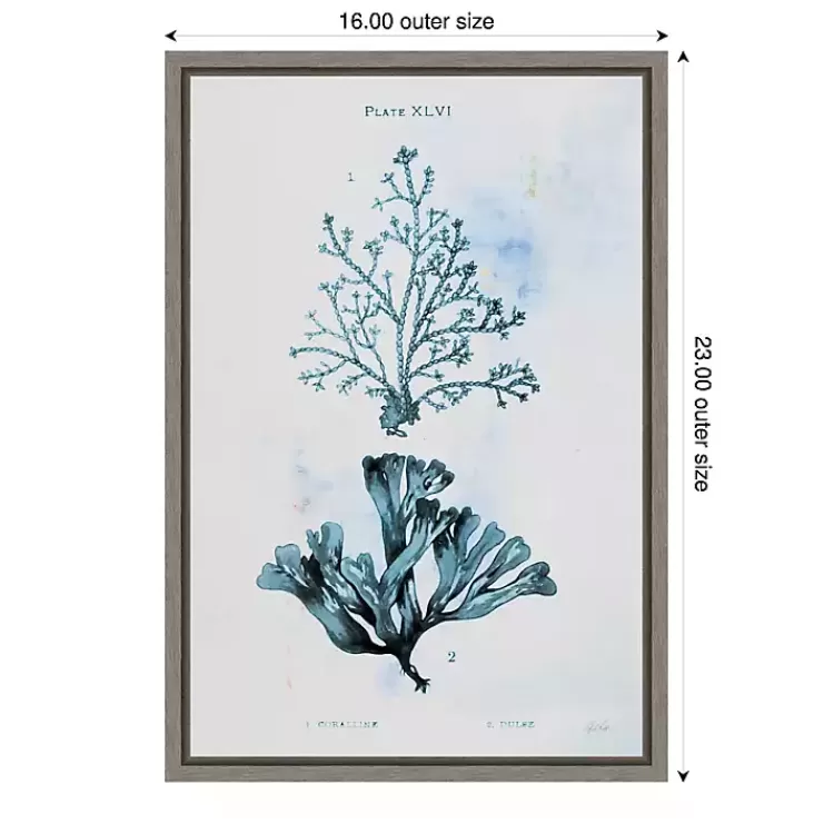 Blue Bay Coral Framed Canvas Art Print>Kirklands Home Outlet