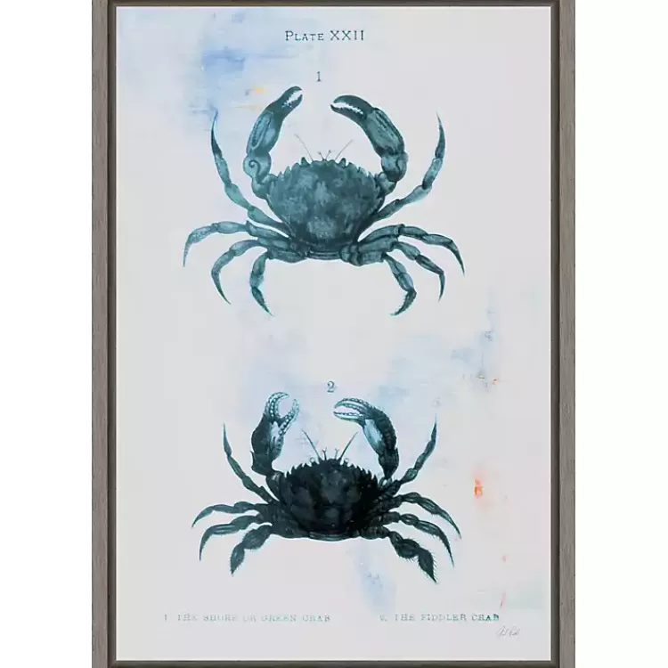 Blue Bay Crabs Framed Canvas Art Print>Kirklands Home Cheap