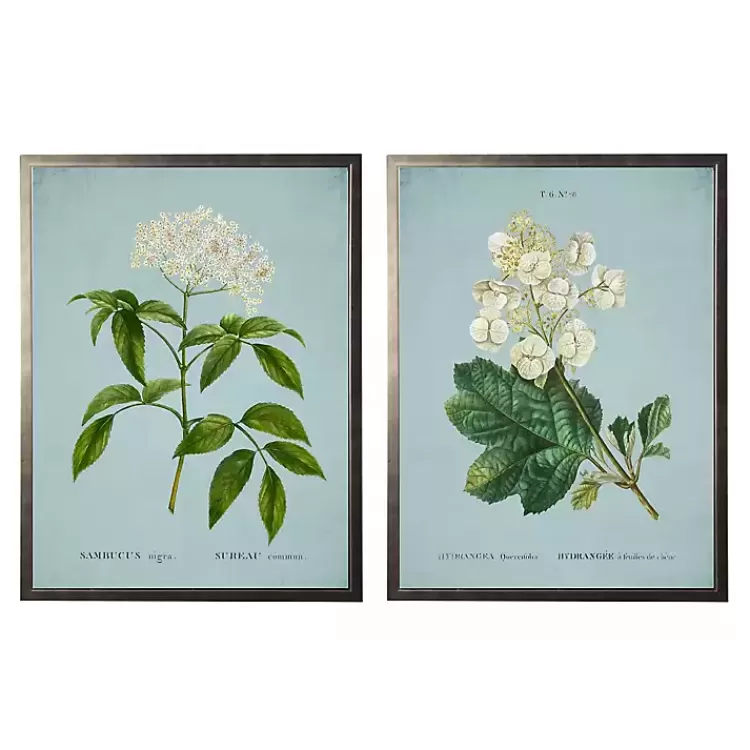 Blue Floral Diagram I Framed Art Prints, Set of 2>Kirklands Home Shop