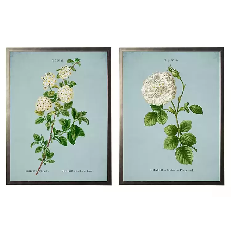Blue Floral Diagram II Framed Art Prints, Set of 2>Kirklands Home Online