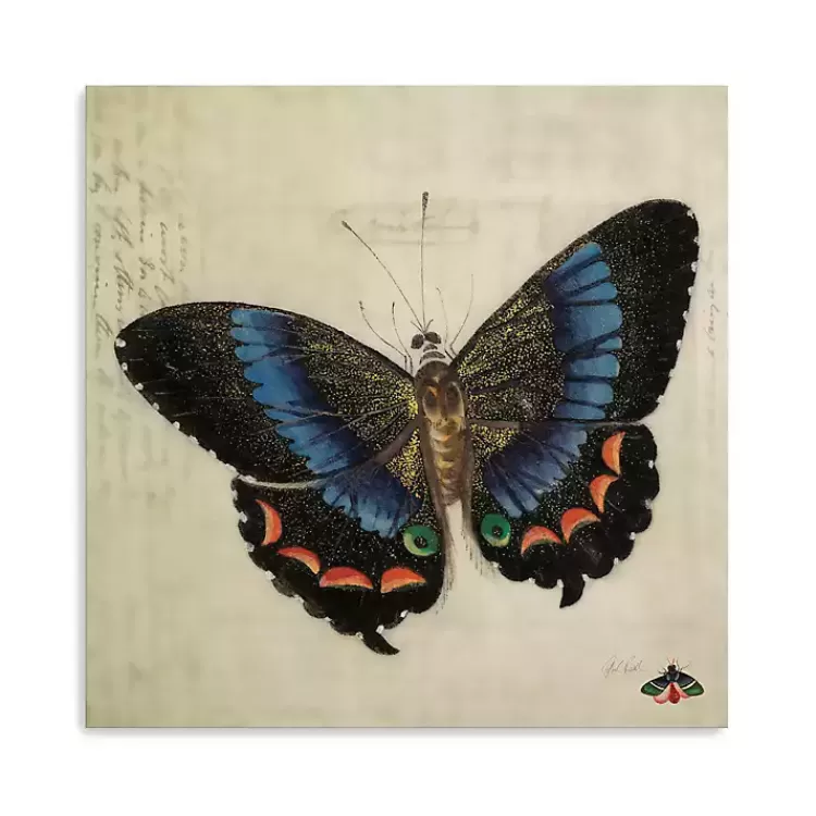 Blue Vintage Butterfly Canvas Art Print>Kirklands Home Hot