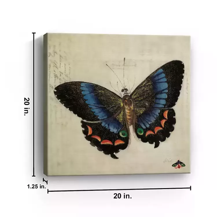 Blue Vintage Butterfly Canvas Art Print>Kirklands Home Hot