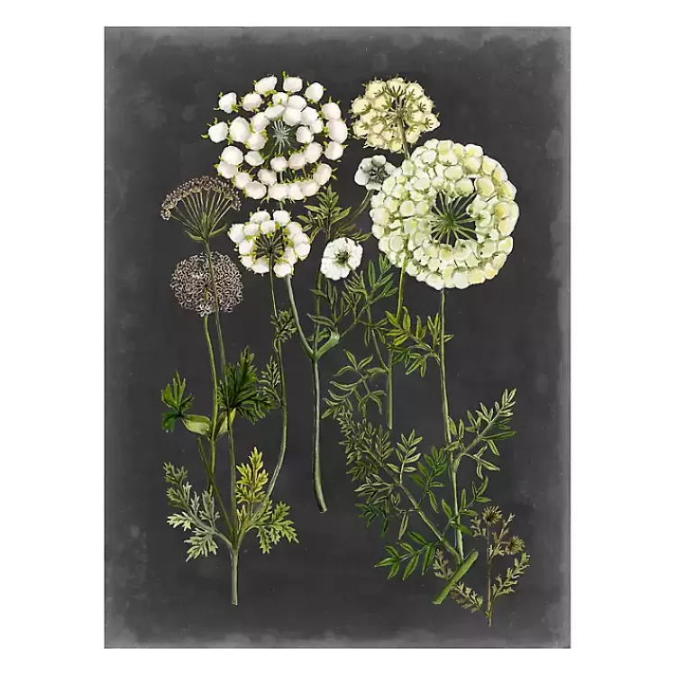 Bookplate Floral II Giclee Canvas Art Print>Kirklands Home Cheap