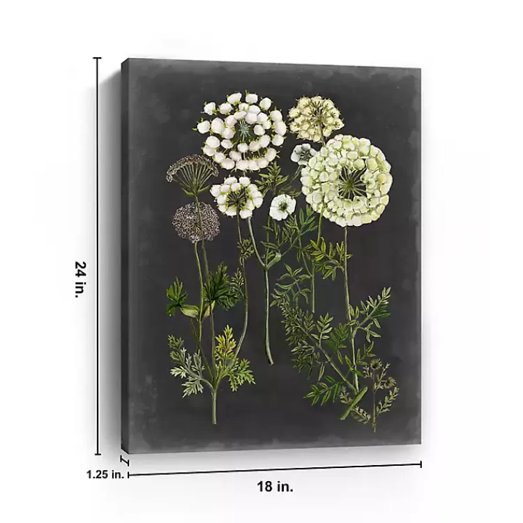 Bookplate Floral II Giclee Canvas Art Print>Kirklands Home Cheap