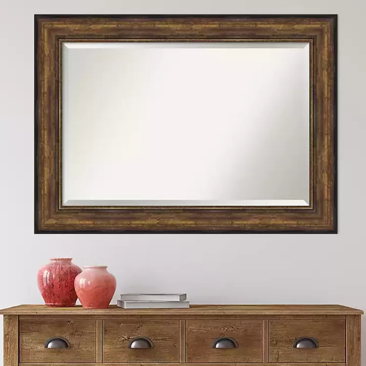 Bronze Frame Beveled Mirror, 43.5x31.5 in.>Kirklands Home Shop