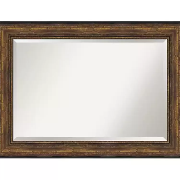 Bronze Frame Beveled Mirror, 43.5x31.5 in.>Kirklands Home Shop