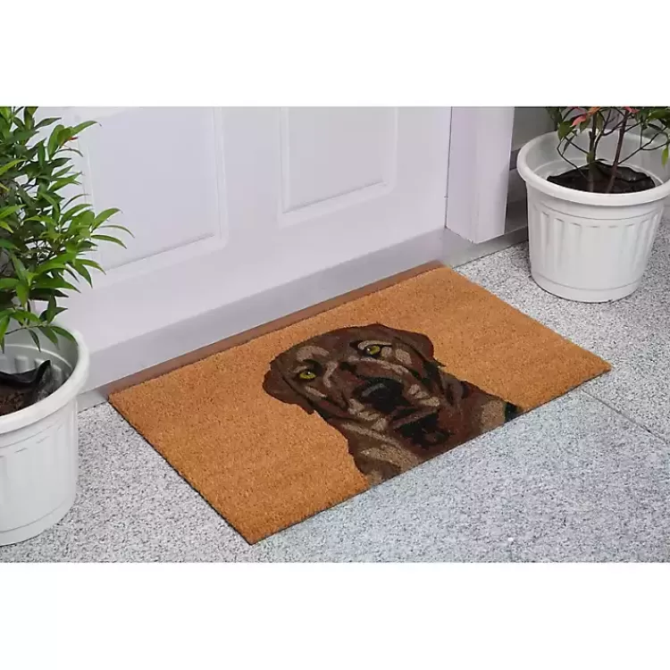 Labrador Doormat>Kirklands Home New