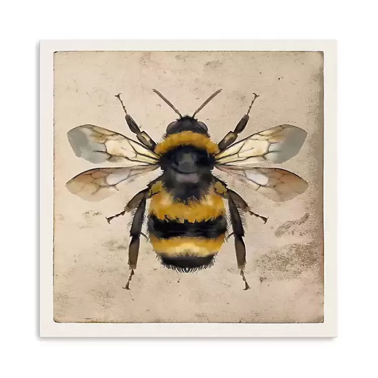 Bumblebee Anatomy Canvas Art Print>Kirklands Home Sale