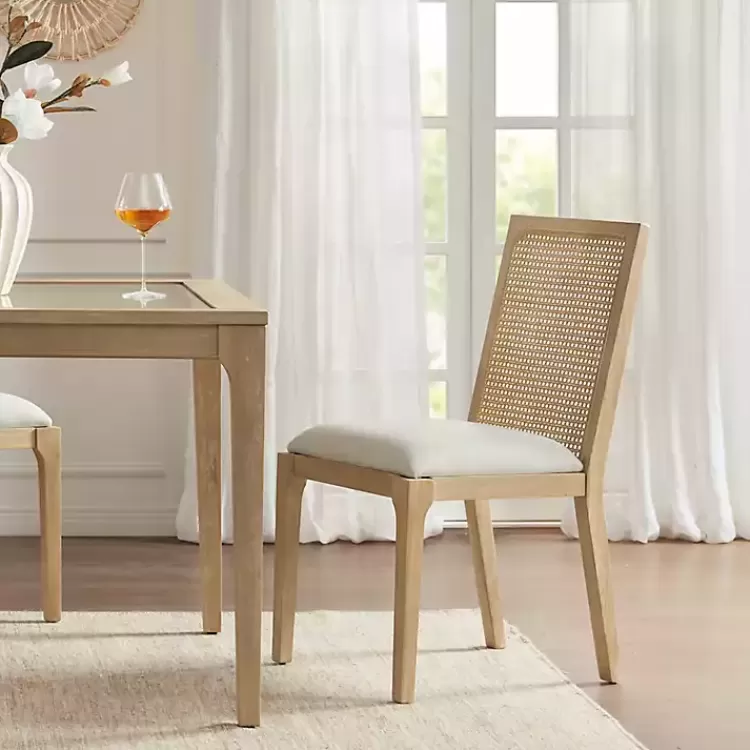 Cane Back Upholstered Wood Dining Chairs, Set of 2>Kirklands Home Shop