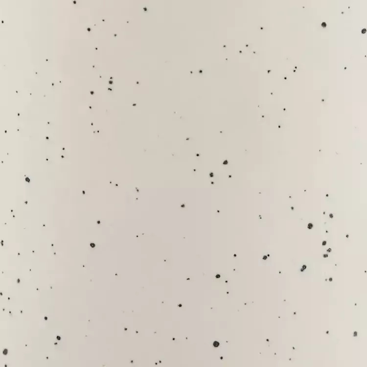 cream_speckled_ceramic_table_lamp_8.webp Cream Speckled Ceramic Table Lamp>Kirklands Home Fashion