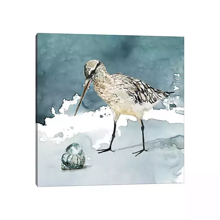Delray Sandpiper Canvas Art Print>Kirklands Home Flash Sale