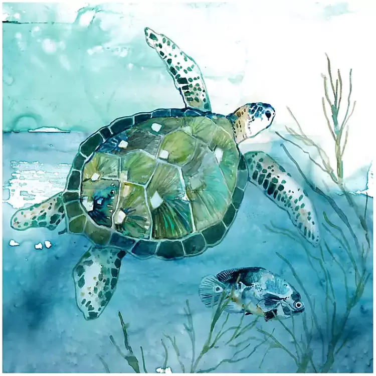 Delray Sea Turtle I Giclee Canvas Art Print>Kirklands Home Flash Sale