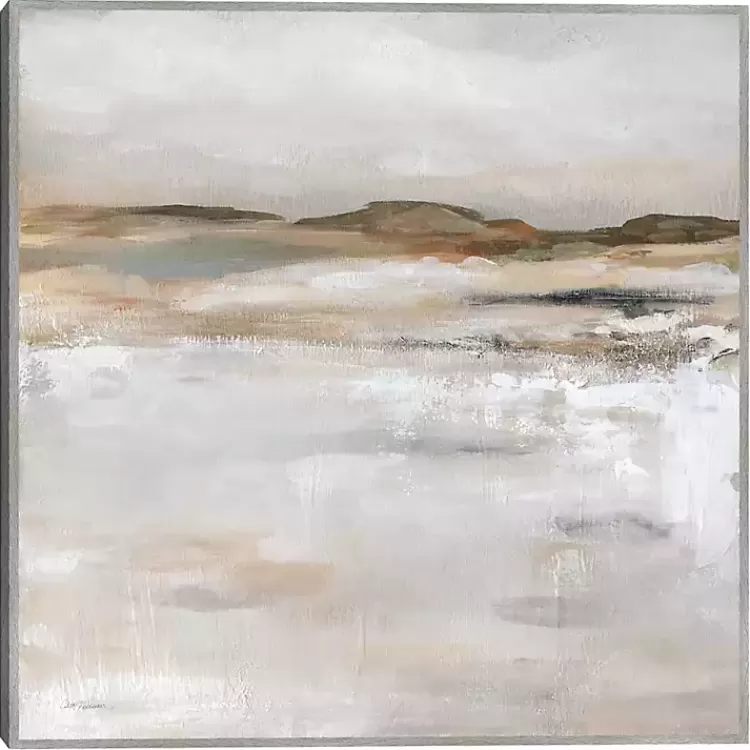 Desert Floor Framed Canvas Art Print>Kirklands Home Best Sale
