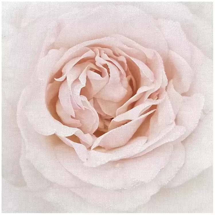 Dewdrop Rose Canvas Art Print>Kirklands Home Sale