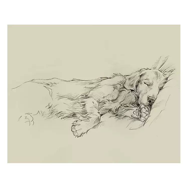 Dog Days III Canvas Art Print>Kirklands Home Sale