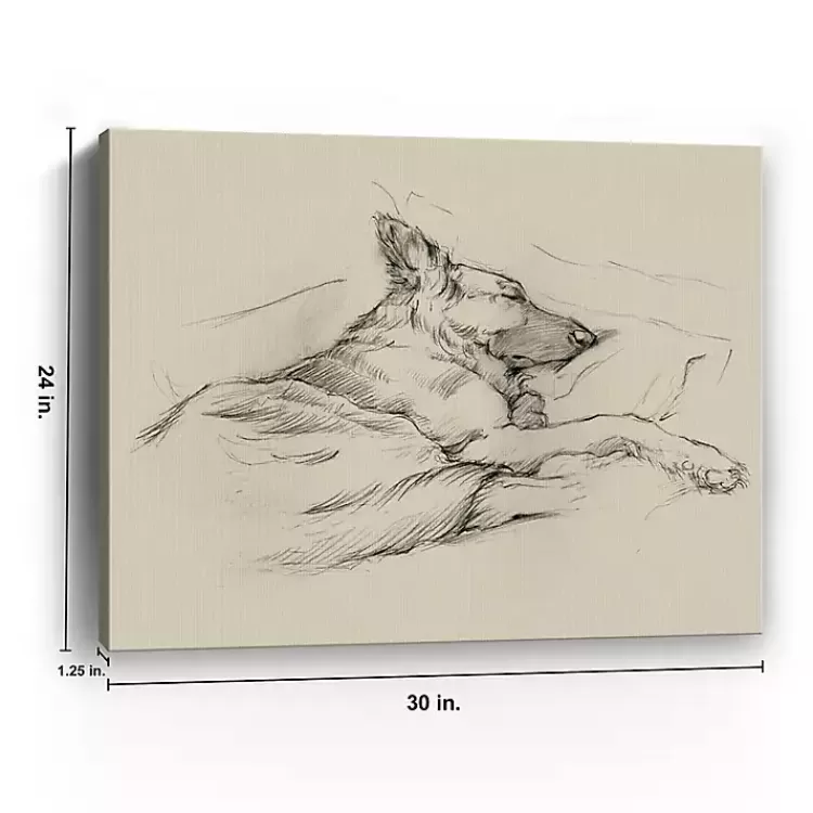 Dog Days IV Canvas Art Print>Kirklands Home Discount