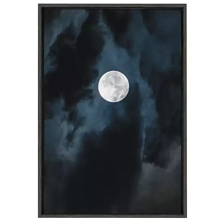Driftless Moon Framed Canvas Art Print>Kirklands Home Discount