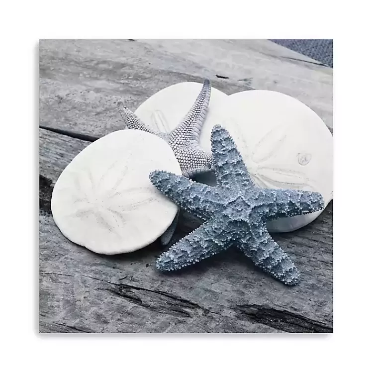 Driftwood Shell IV Canvas Art Print, 30x30 in.>Kirklands Home Clearance