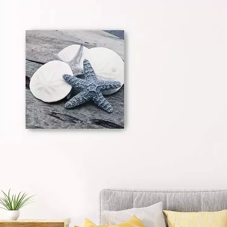 Driftwood Shell IV Canvas Art Print, 30x30 in.>Kirklands Home Clearance