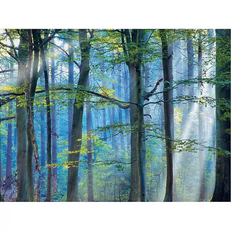 Enchanted Forest Canvas Print by Lars Van De Goor>Kirklands Home Sale