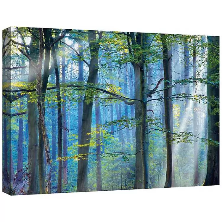 Enchanted Forest Canvas Print by Lars Van De Goor>Kirklands Home Sale