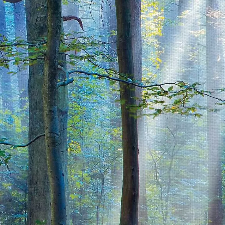 enchanted_forest_canvas_print_by_lars_van_de_goor_2.webp Enchanted Forest Canvas Print by Lars Van De Goor>Kirklands Home Sale