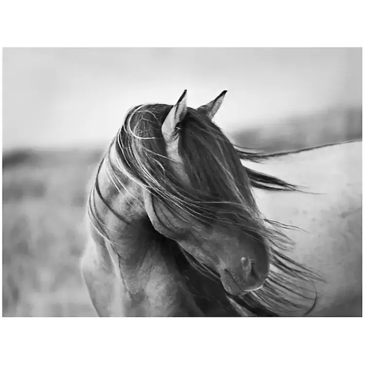 Fierce Grace Canvas Art Print>Kirklands Home Discount