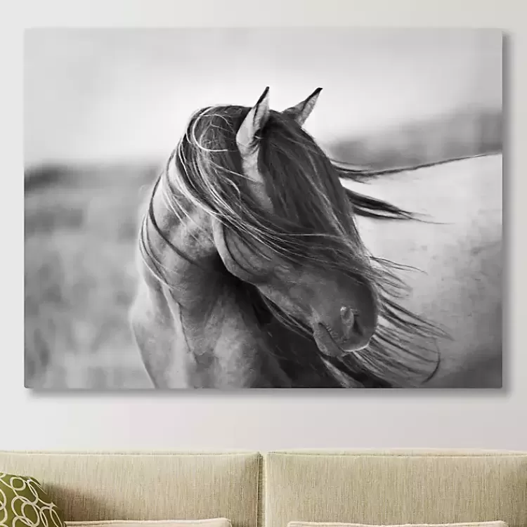 Fierce Grace Canvas Art Print>Kirklands Home Discount