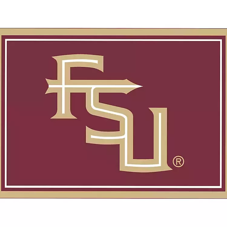 Florida State University Area Rug, 4x6>Kirklands Home Best Sale
