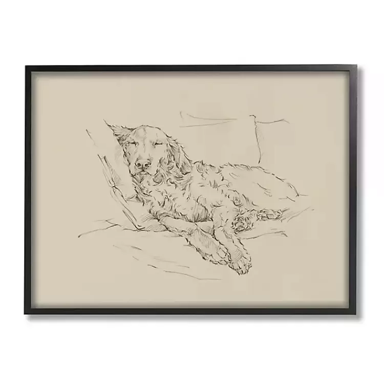 Fluffy Retriever Napping Dog Framed Canvas Print>Kirklands Home Best