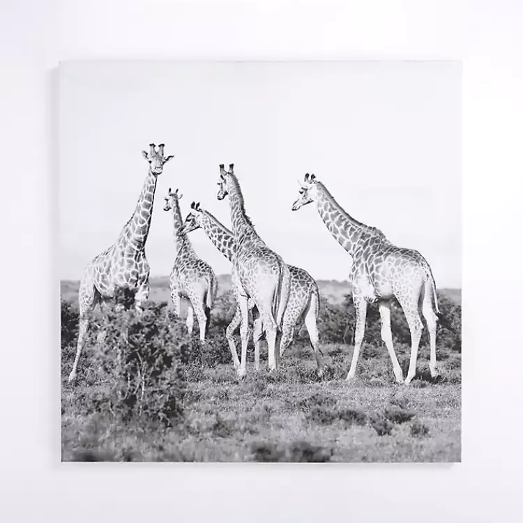 Giraffes in the Wild Canvas Art Print>Kirklands Home Outlet