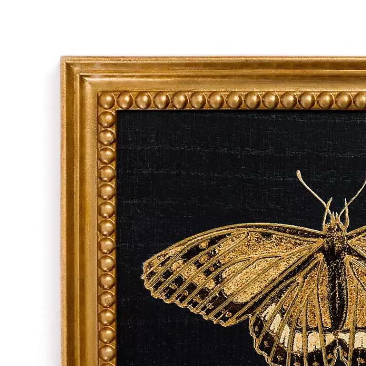 Gold Moth Framed Art Print>Kirklands Home Online