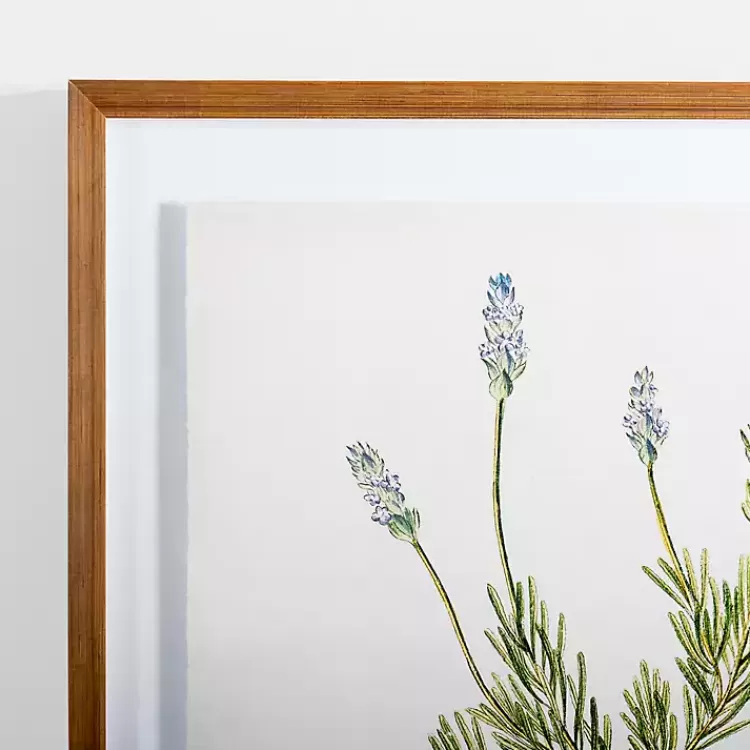 Golden Leaves Herbs Lavender Framed Art Print>Kirklands Home Cheap