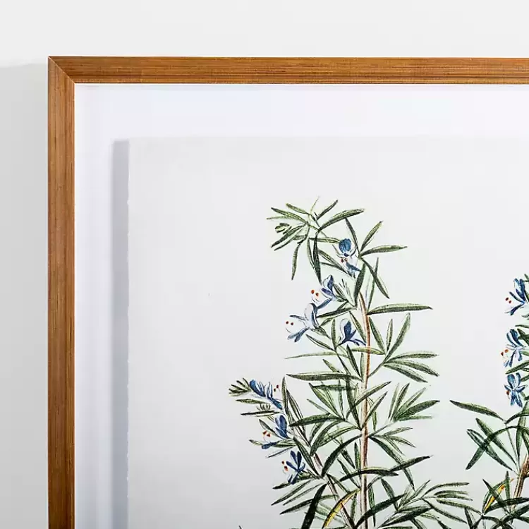 Golden Leaves Herbs Rosemary Framed Art Print>Kirklands Home Cheap