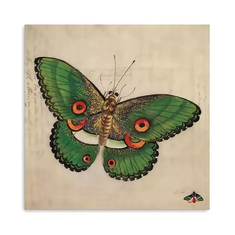 Green Vintage Butterfly Canvas Art Print>Kirklands Home Fashion