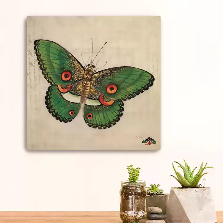 Green Vintage Butterfly Canvas Art Print>Kirklands Home Fashion