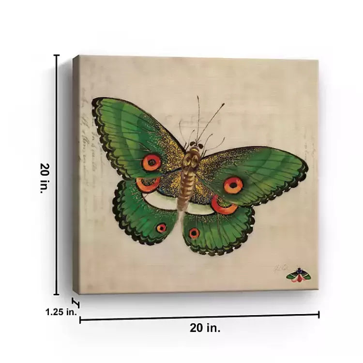 Green Vintage Butterfly Canvas Art Print>Kirklands Home Fashion