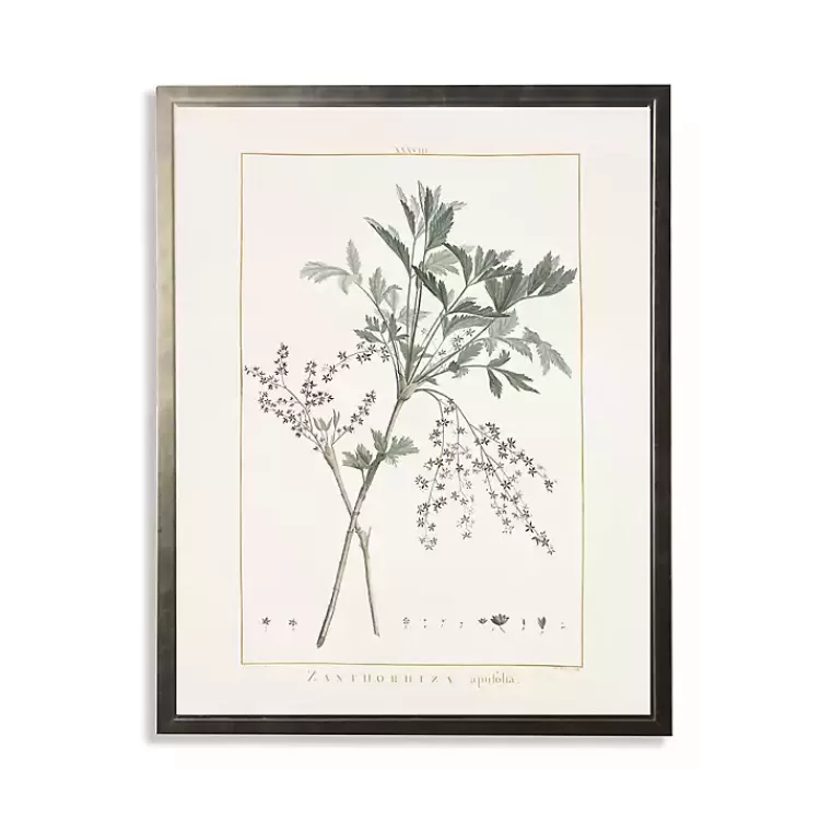 Greenery Botanical IV Pewter Framed Art Print>Kirklands Home Online