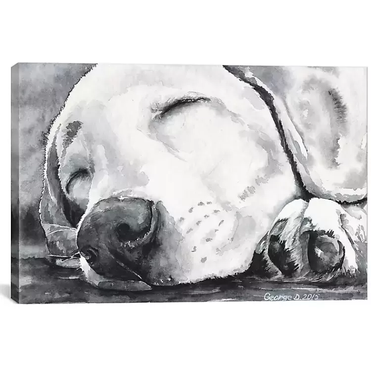 Happy Dreams Dog Giclee Canvas Art Print, 26x18>Kirklands Home Online