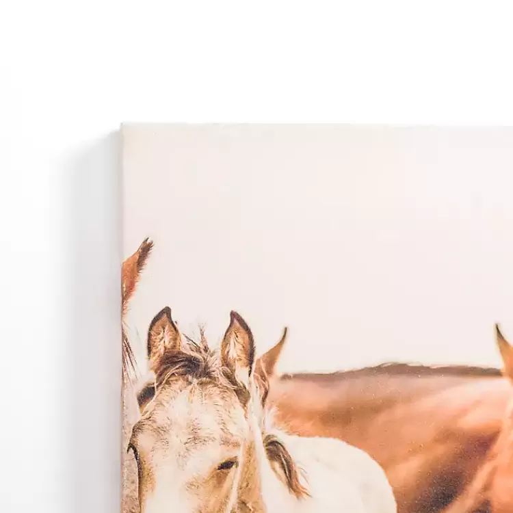 Hartville Horses Canvas Art Print>Kirklands Home Flash Sale