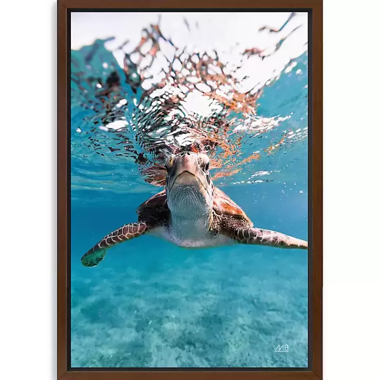Hello Turtle Framed Canvas Art Print>Kirklands Home New