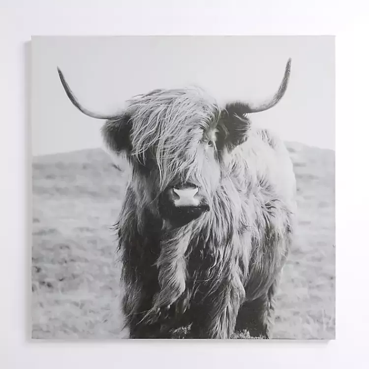 Highland in the Wild Canvas Art Print>Kirklands Home Hot