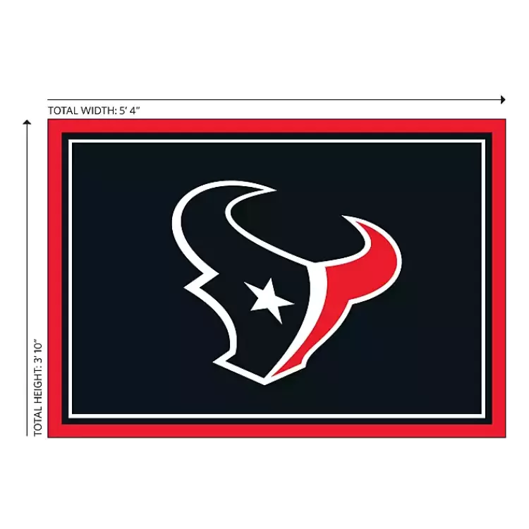 Houston Texas Area Rug, 4x6>Kirklands Home Online