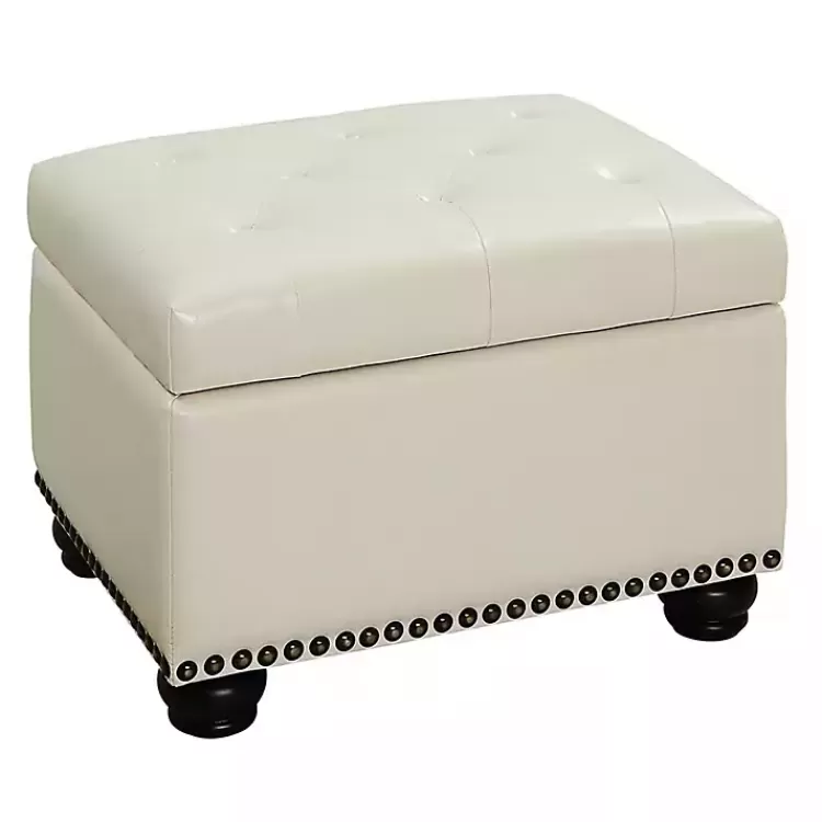 Faux Leather Jessy Storage Ottoman>Kirklands Home Store