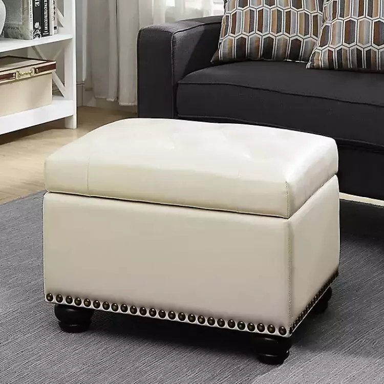 Faux Leather Jessy Storage Ottoman>Kirklands Home Store