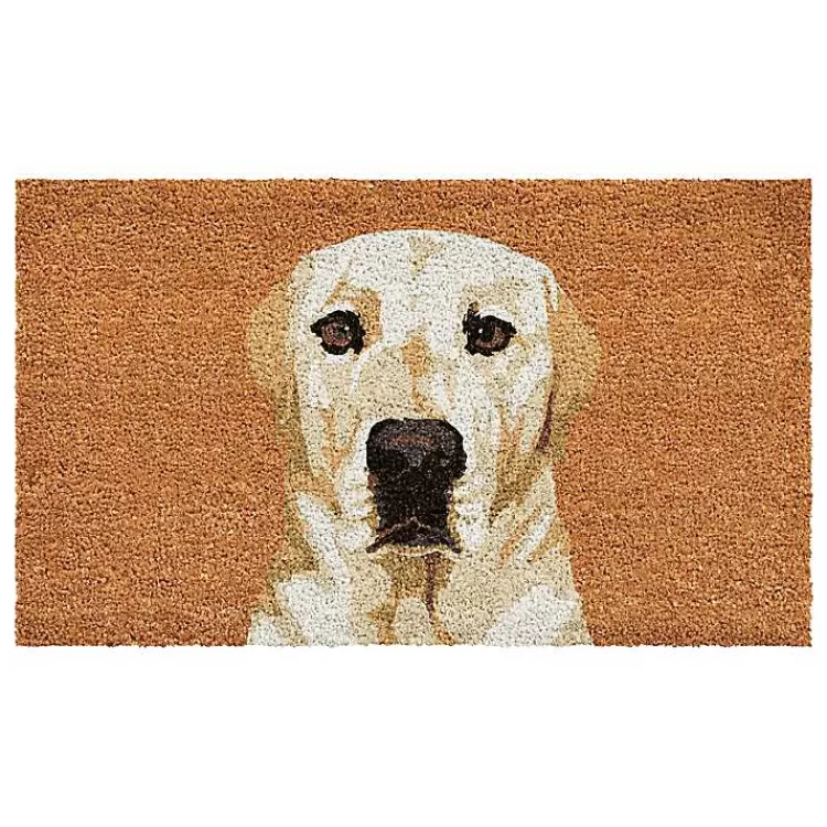 Labrador Retriever Doormat>Kirklands Home New