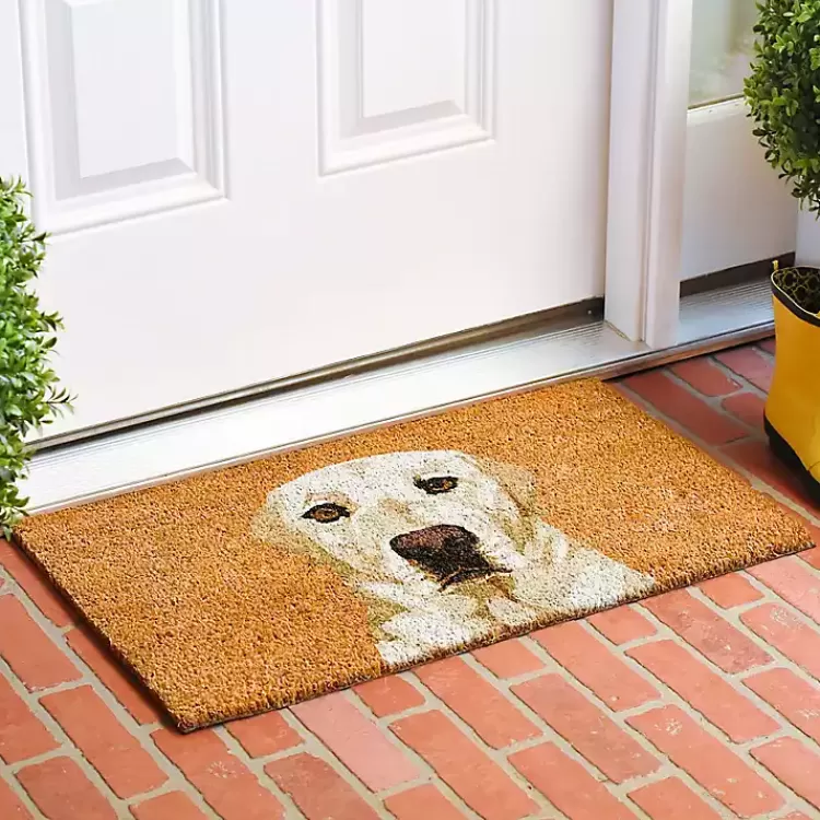 Labrador Retriever Doormat>Kirklands Home New