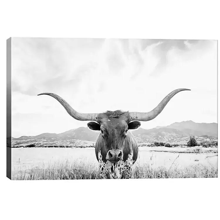 Longhorn Giclee Canvas Art Print>Kirklands Home Outlet
